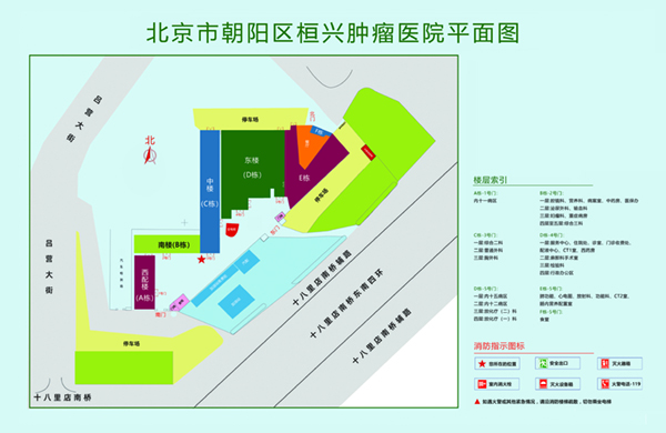 鸡巴通逼逼北京市朝阳区桓兴肿瘤医院平面图